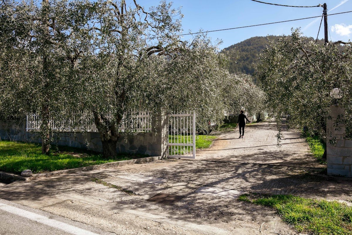 Olivemare Appartments — cazare în Pachis, Thassos